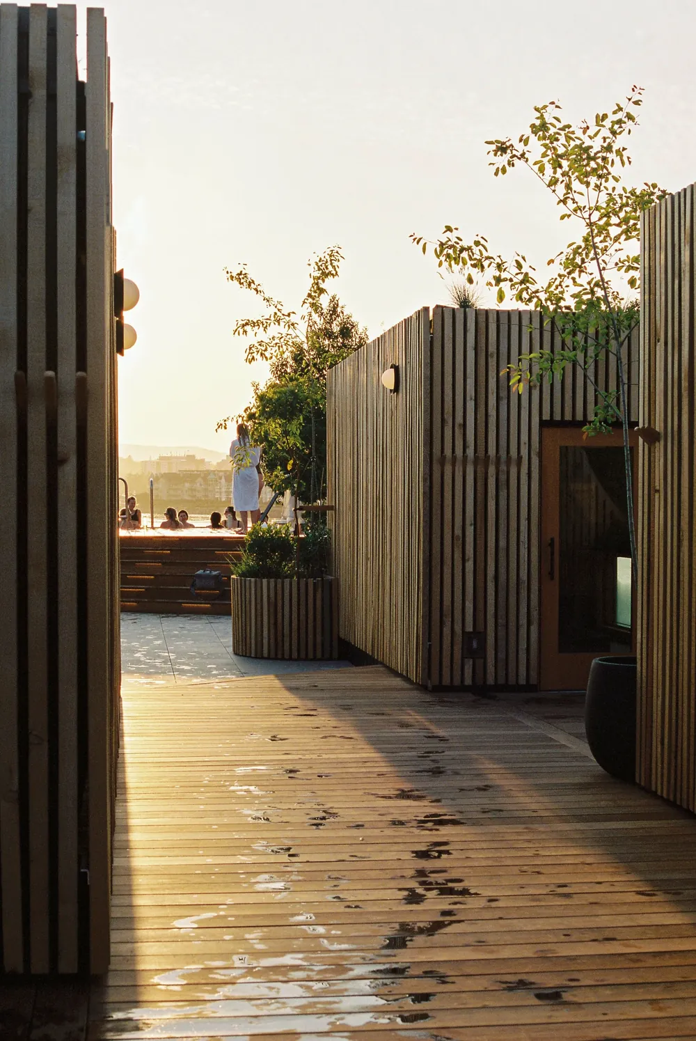 The cedar boardwalk and cabins at Havn at sunset